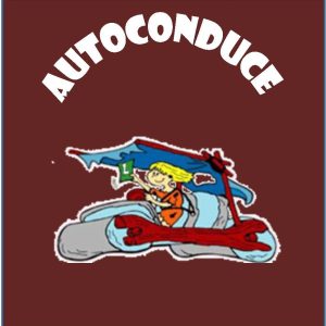 Autoconduce en Madrid en Pza Conde de Casal,2